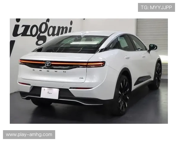 皇冠登录官网网页版优化界面操作流程,让玩家体验更流畅直观的登录流程